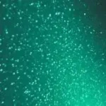 SkilPro Gemstone Cast Metallic 8220 Emerald Folie SkilPro Gemstone Cast Metallic 8220 Emerald Folie